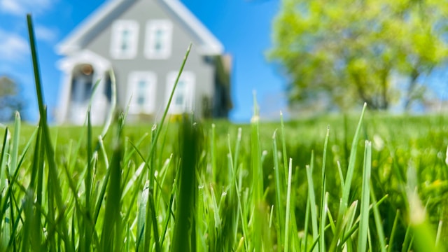 Property Investment Opportunities