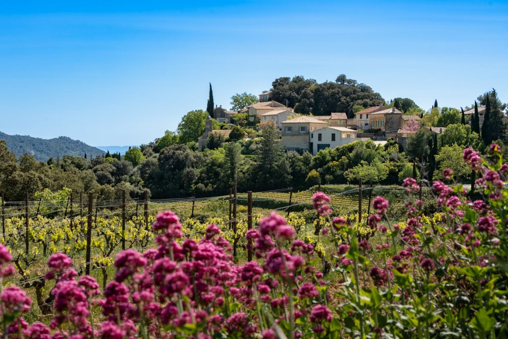 A stunning luxury villa in Provence — stone facade draped in wisteria, a long infinity pool overlooking lavender fields, outdoor dining terrace with mountain views. Late afternoon golden light.