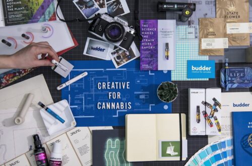 Packaging design services