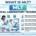 MLT Full Form