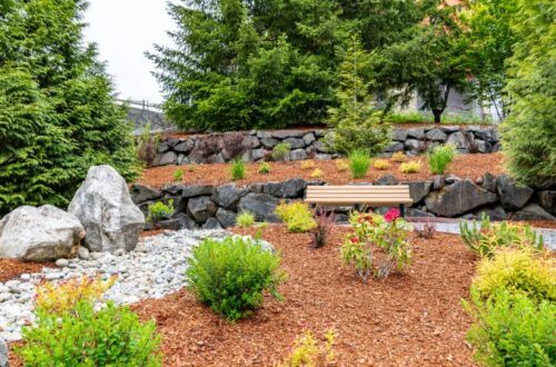 Xeriscape in Austin Texas