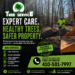 tree removal service md