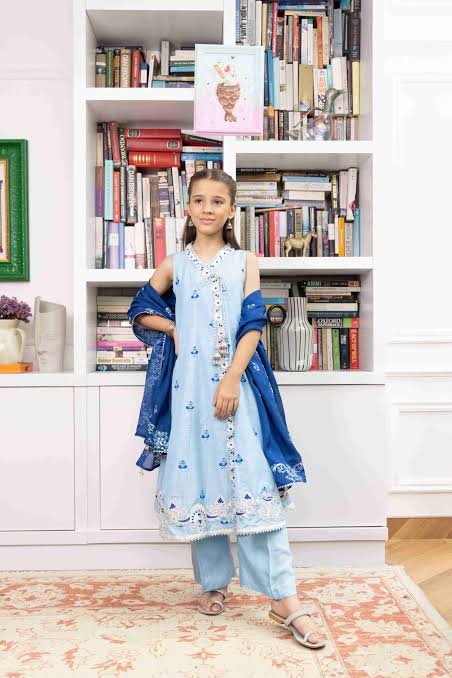 Pakistani Children's Clothing Collection: Kurtas, Frocks & Suits