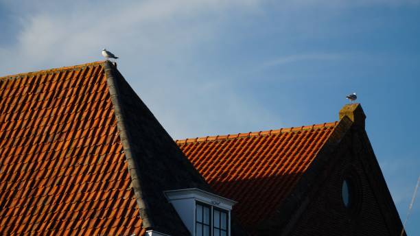 Roofing Kilburn