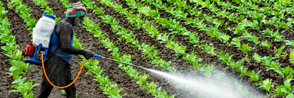 antifungal powder for plants