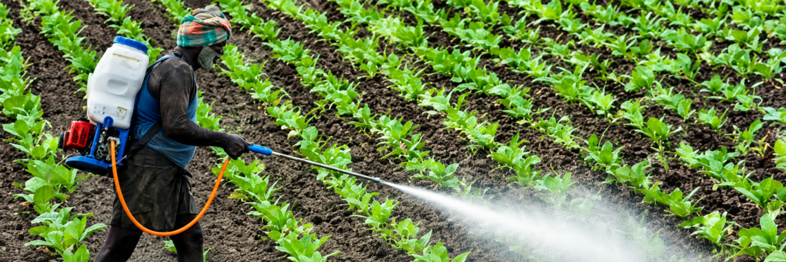 antifungal powder for plants