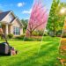 How Little Elm Lawn Services Can Help Manage Seasonal Lawn Changes