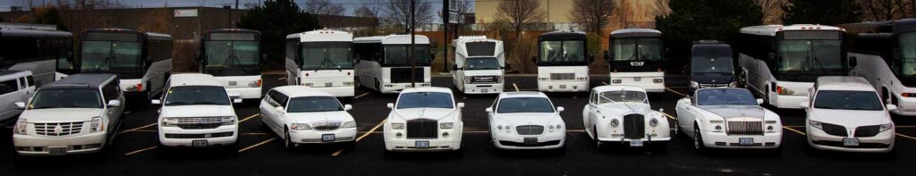 party limo bus