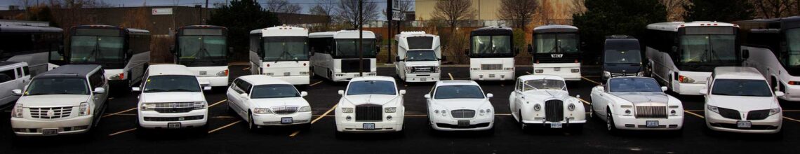 party limo bus